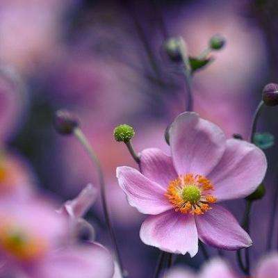 天健棋牌手机app下载