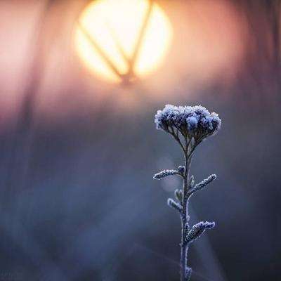 双赢彩票下载手机版