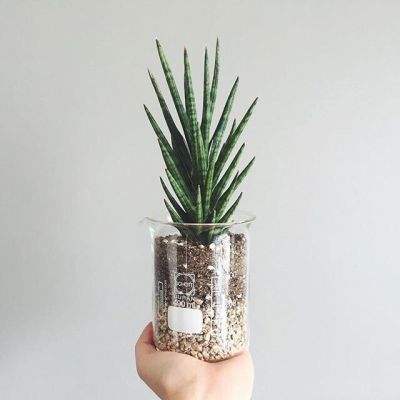 leyu乐鱼·体育截图