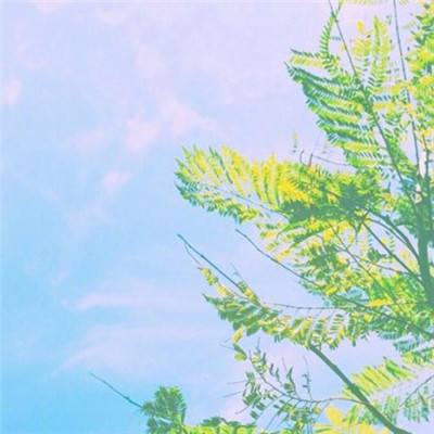 b体育官方网页截图