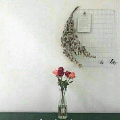 南宫体育app下载安装app下载