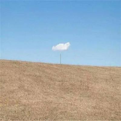 开云网kaiyun手机app下载截图