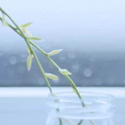 梭哈游戏下载手机app下载